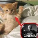 Absolute cinema