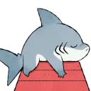 Sleeping shark