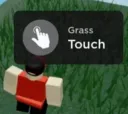 Touch Grass