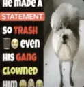 trash statement