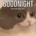 Dream about me {THL}