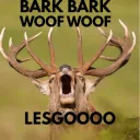 bark_deer