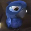 Pájaro chiquito Blu triste 