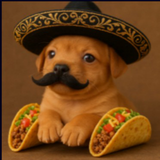 Taco dog