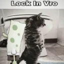 Lockincat