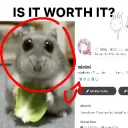 is it worth it /honeyhuddle
