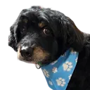 aleksmoment