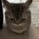 Catook