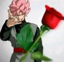 goku black rose