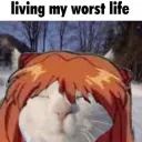 asukaok