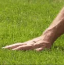 Touch grass