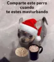 Perro masturbado