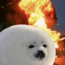 That seal burned my house