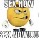 SEX_NOW