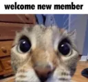 CAT_WELCOME