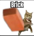 Cat throwing a brick