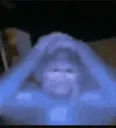 Fucked