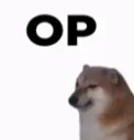 op