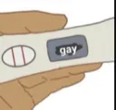 gay