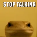Stop talking 