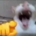 Laugh 