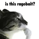 is this ragebait