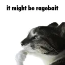 it might be ragebait