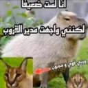 مدير القروب