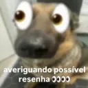 Resenha?