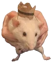 Mango The Rat