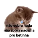 nao sobrou nada pro beta