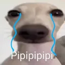 Pipipipipipi