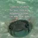 I wanna be a fish