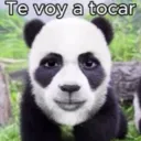 Te voy a tocar