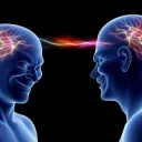 Sharing one braincell