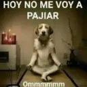 Hoy no me voy a pajiar