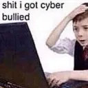 Cyber Bullied