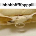 Llbbbbbfffllllfffpppfffll