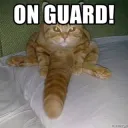 On guard