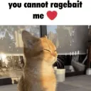 You cannot ragebait me