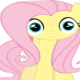 fluttershock
