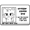 Girl Kisser License