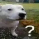 Hrr