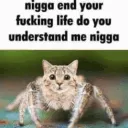 Kys nigga 😾 /memex