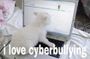 cyberbully