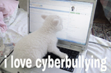 cyberbully