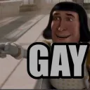 Gay