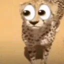 Noticingthings