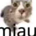 miau
