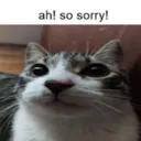 sorry